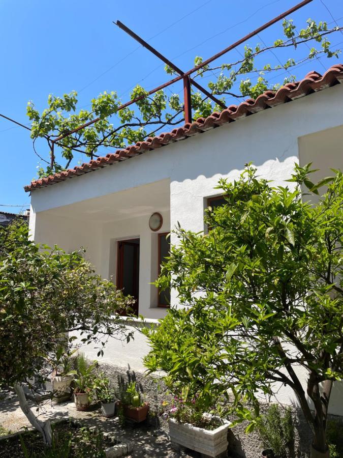 Vila Cano
