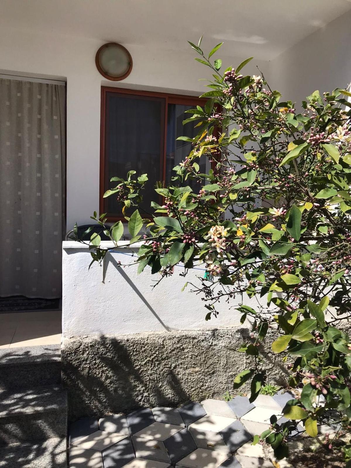 Vila Cano Durrës